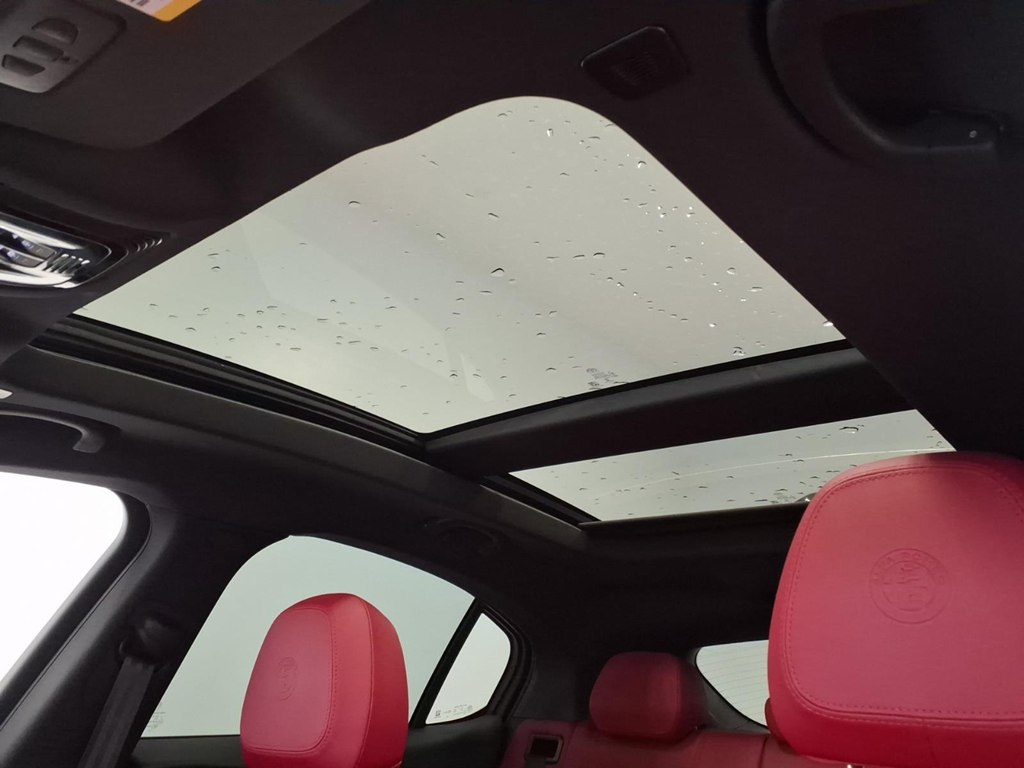 Photo 22 of this ALFA ROMEO STELVIO