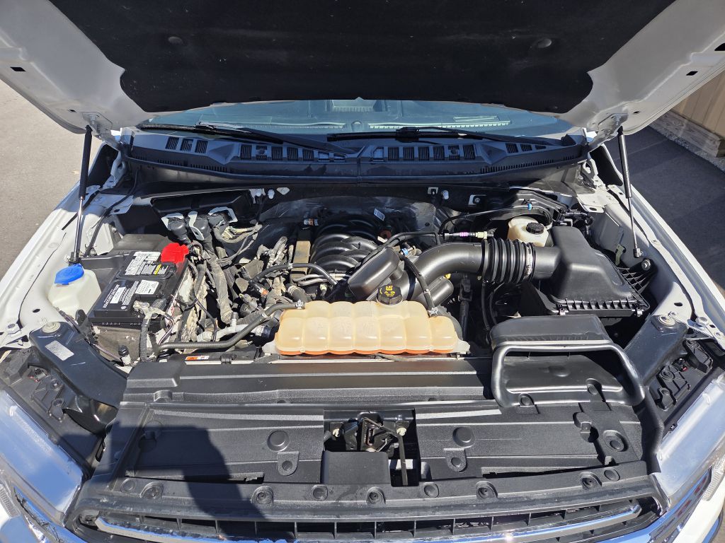 Photo 26 of this FORD F150