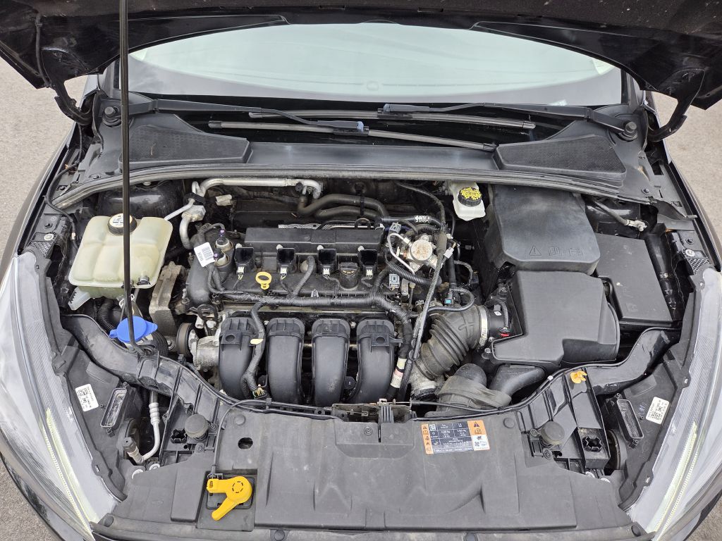 Photo 25 of this FORD FOCUS