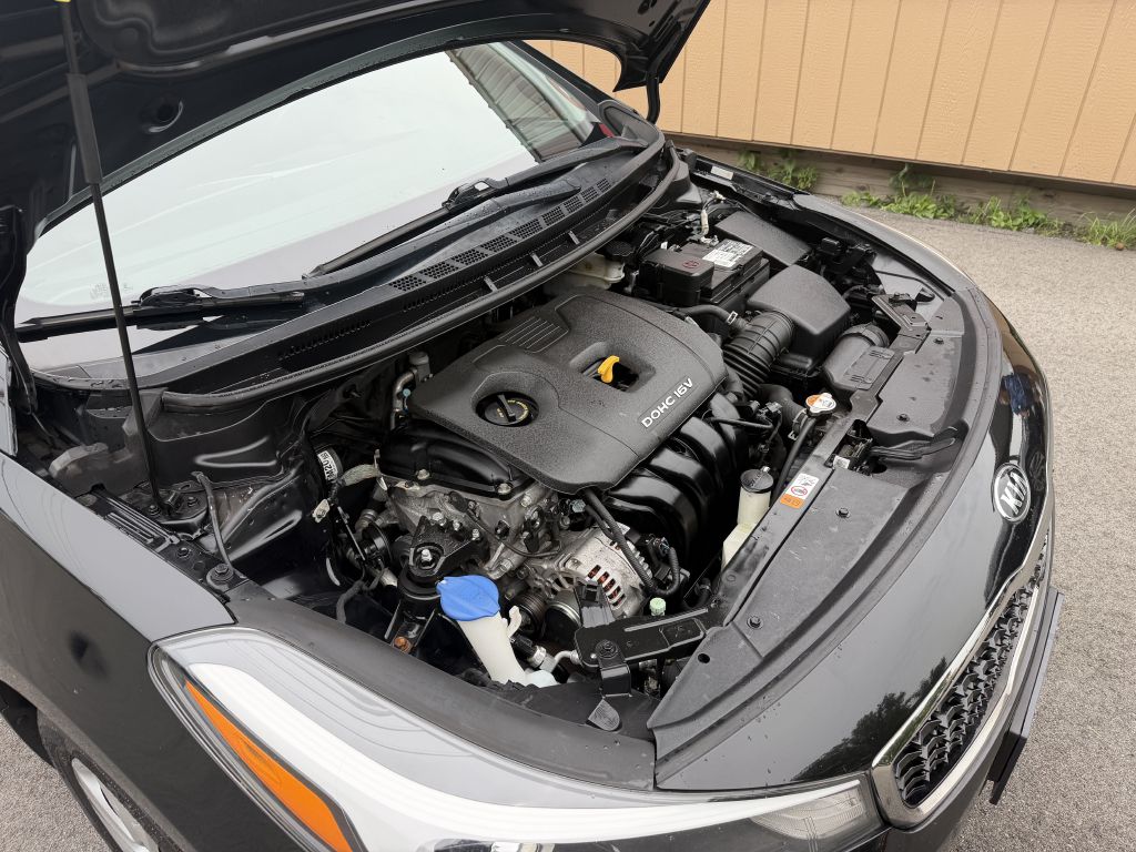 Photo 25 of this KIA FORTE
