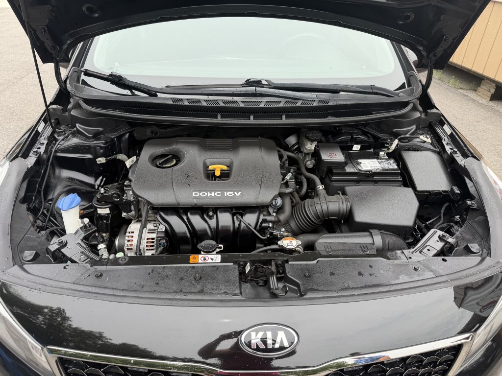 Photo 26 of this KIA FORTE
