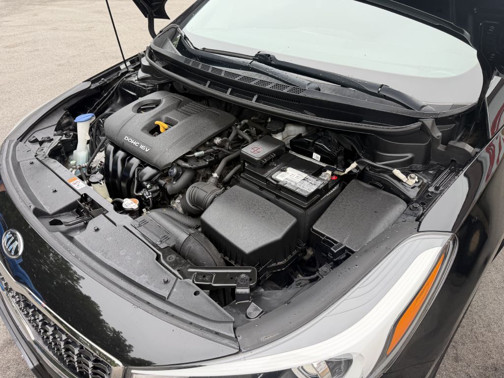 Photo 27 of this KIA FORTE