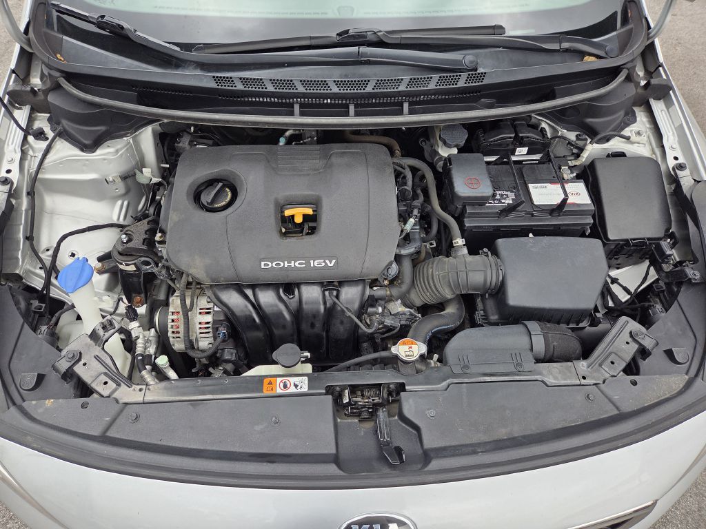 Photo 24 of this KIA FORTE