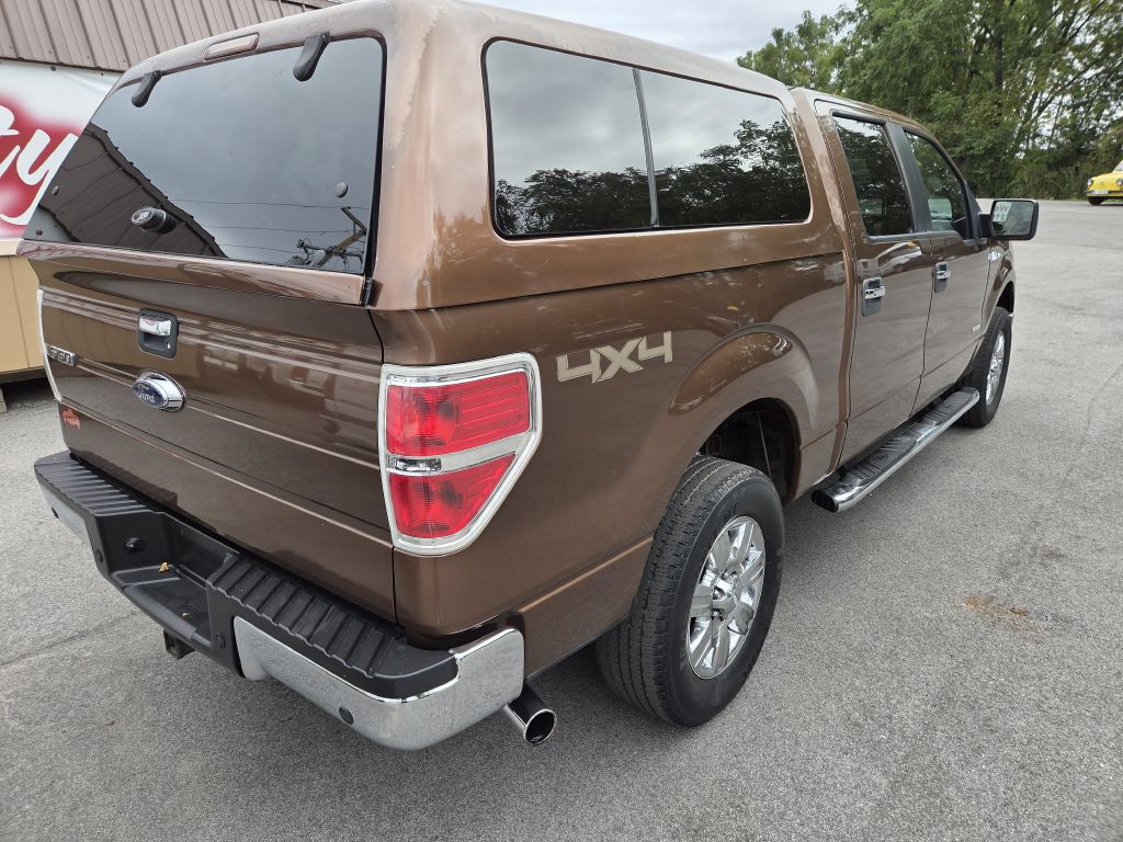 Photo 6 of this FORD F150