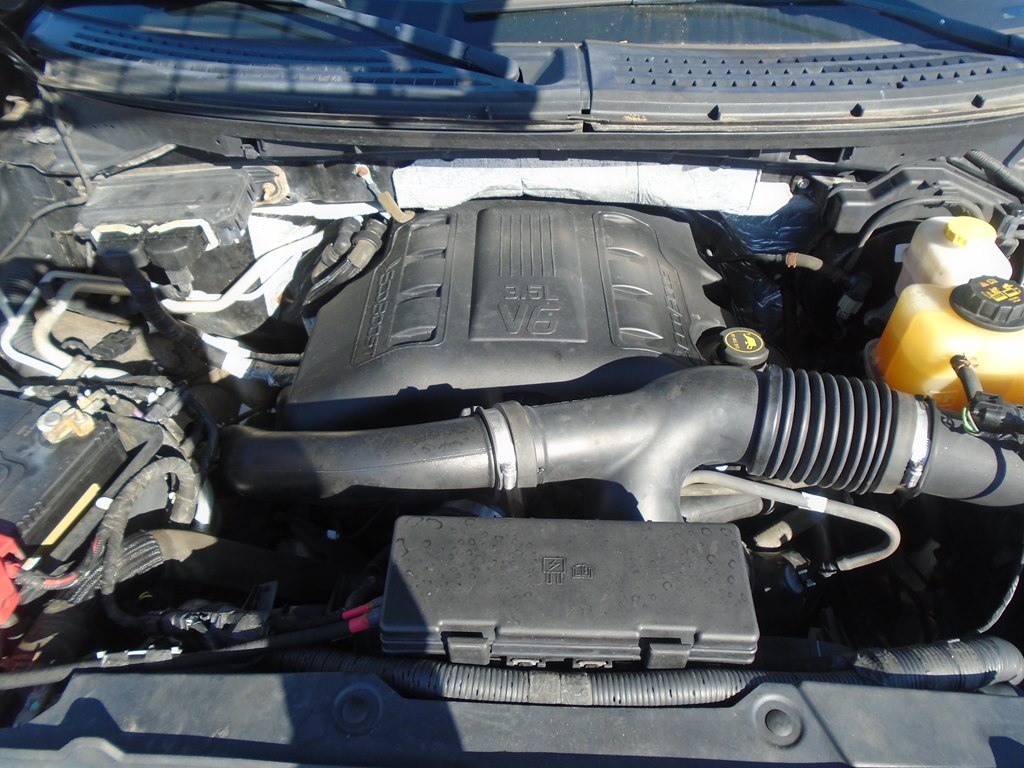 Photo 60 of this FORD F150