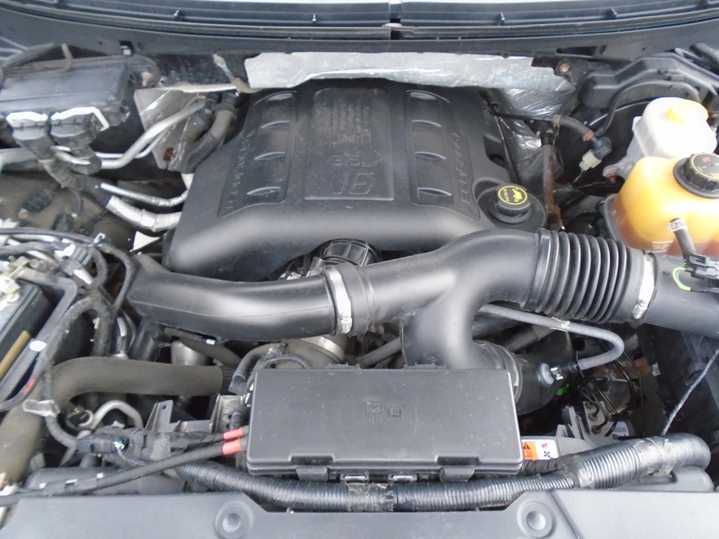 Photo 58 of this FORD F150