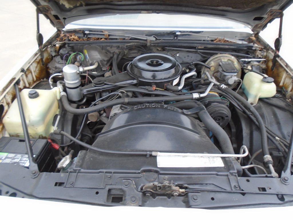 Photo 34 of this PONTIAC LEMANS