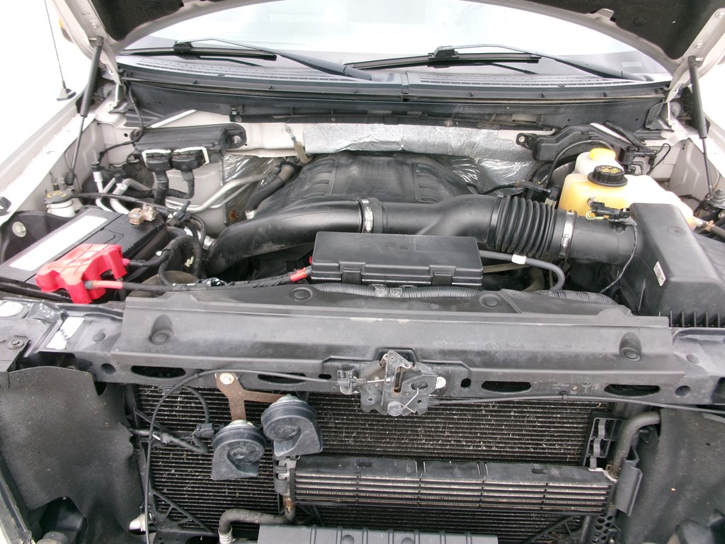 Photo 66 of this FORD F150