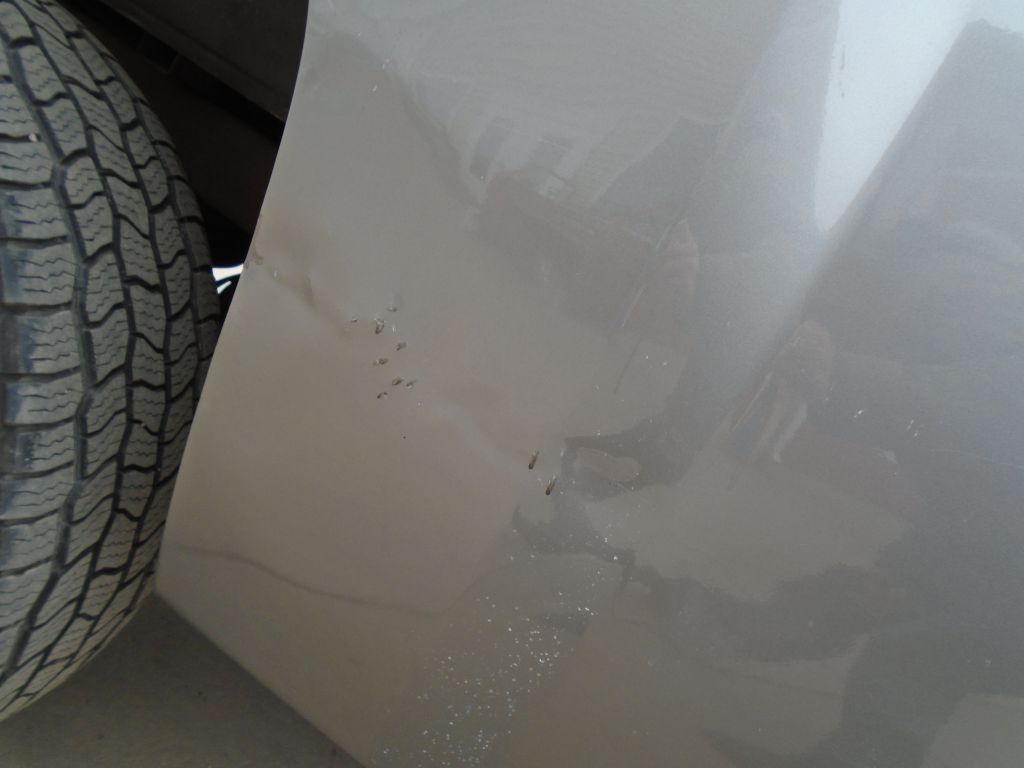 Photo 13 of this CHEVROLET SILVERADO 1500