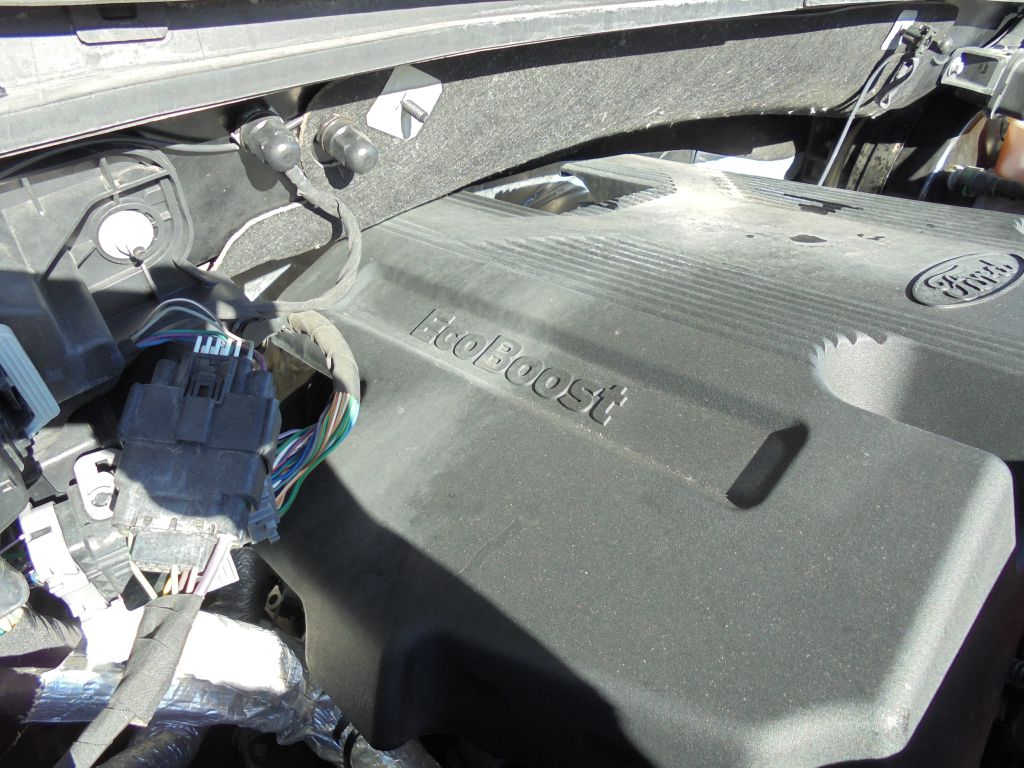 Photo 55 of this FORD F150