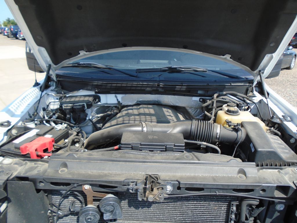 Photo 76 of this FORD F150