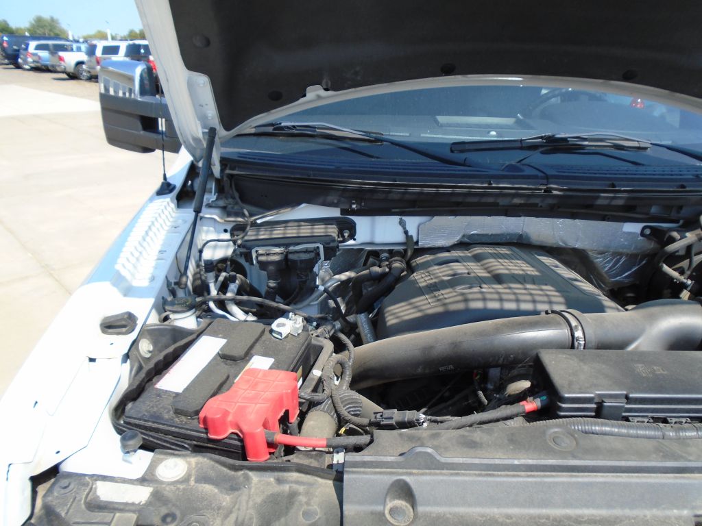 Photo 77 of this FORD F150