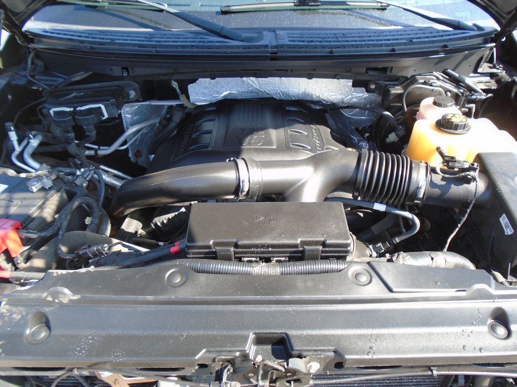 Photo 56 of this FORD F150