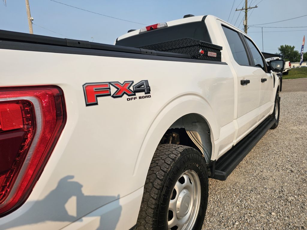 Photo 12 of this FORD F150