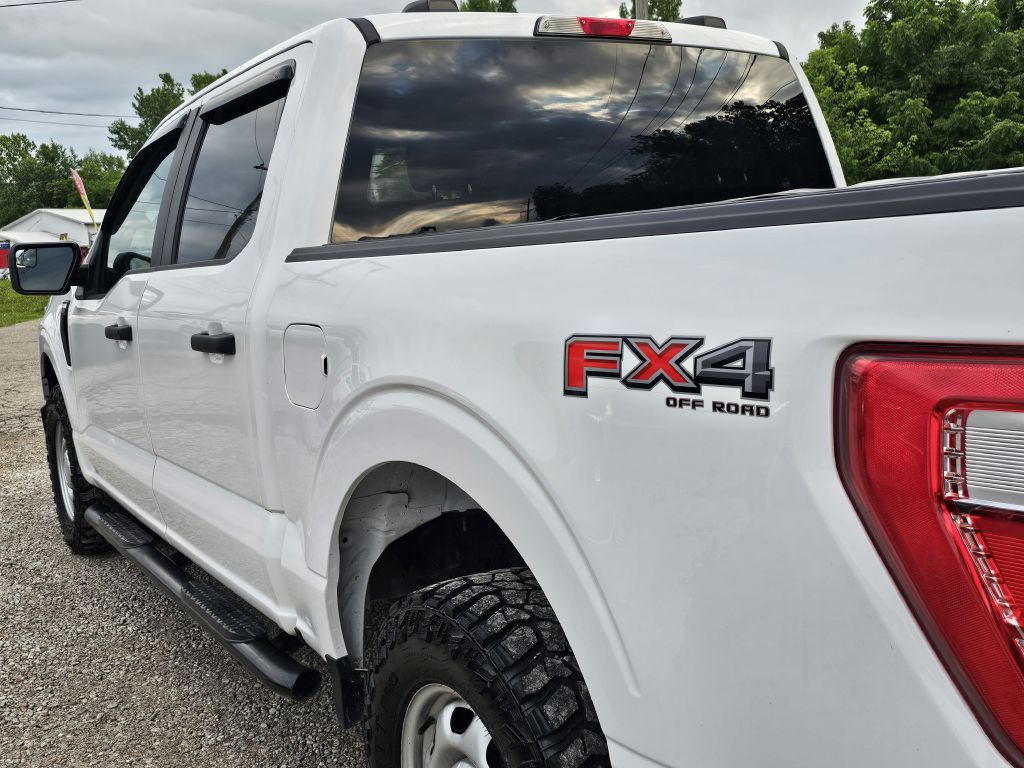 Photo 10 of this FORD F150