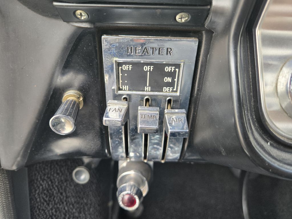 Photo 22 of this BUICK SKYLARK