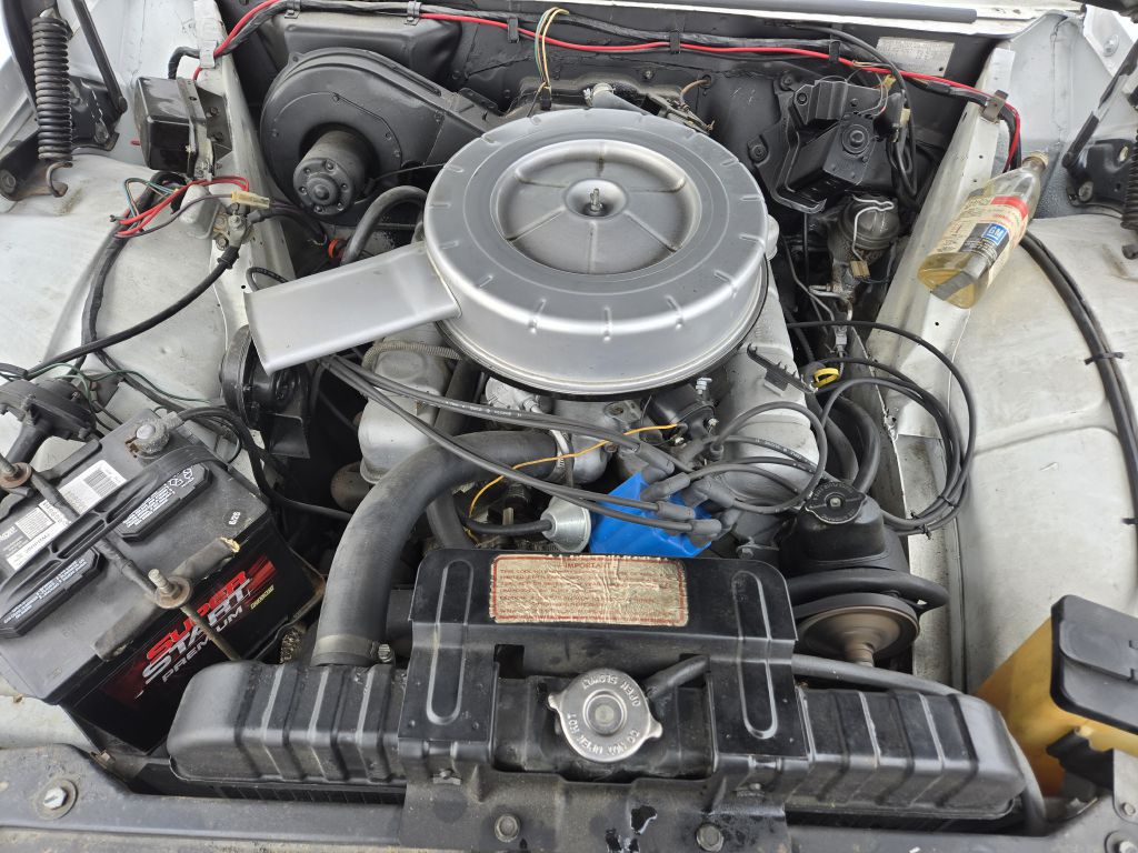 Photo 27 of this BUICK SKYLARK