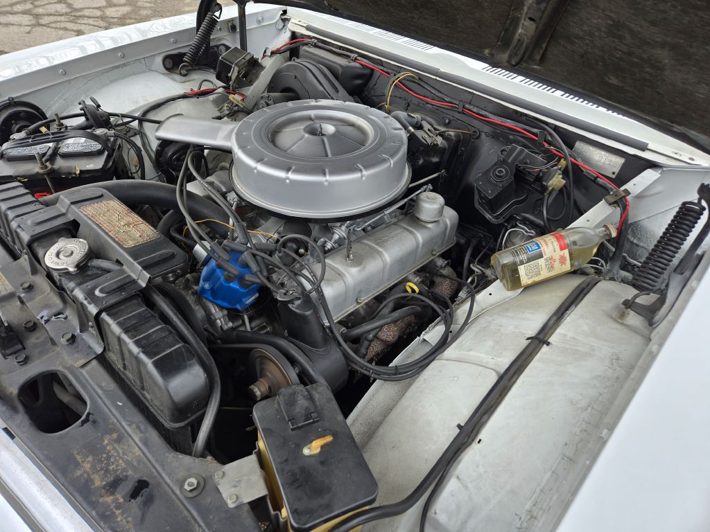 Photo 28 of this BUICK SKYLARK