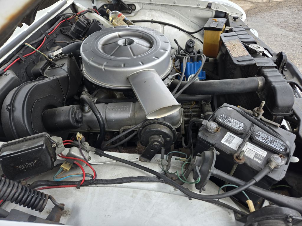 Photo 30 of this BUICK SKYLARK