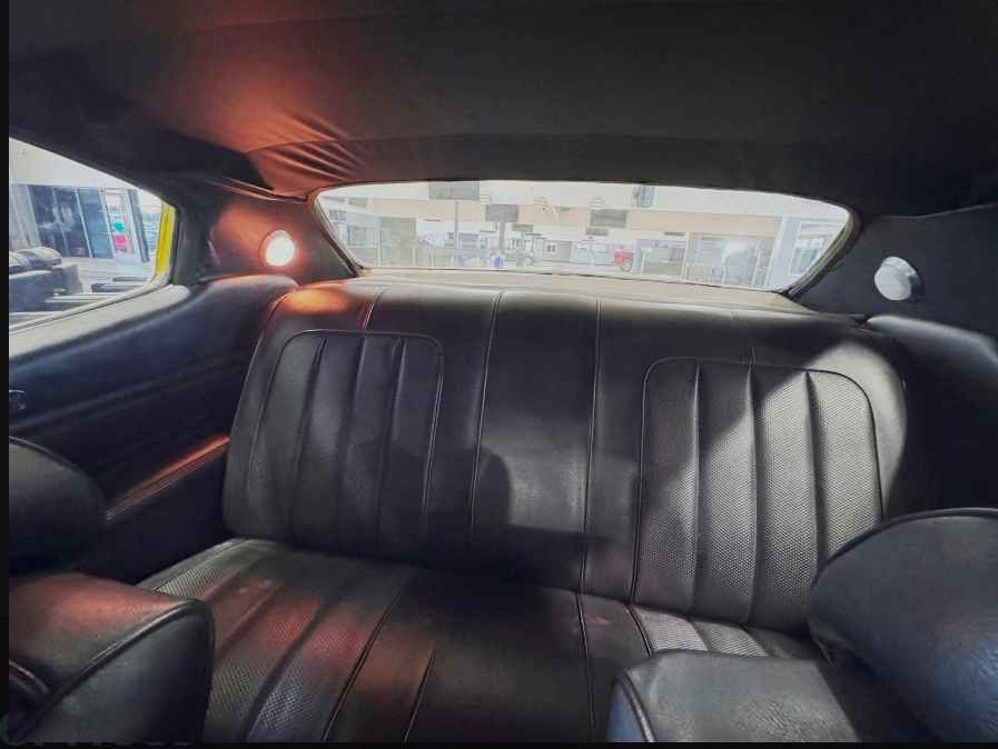 Photo 14 of this BUICK SKYLARK