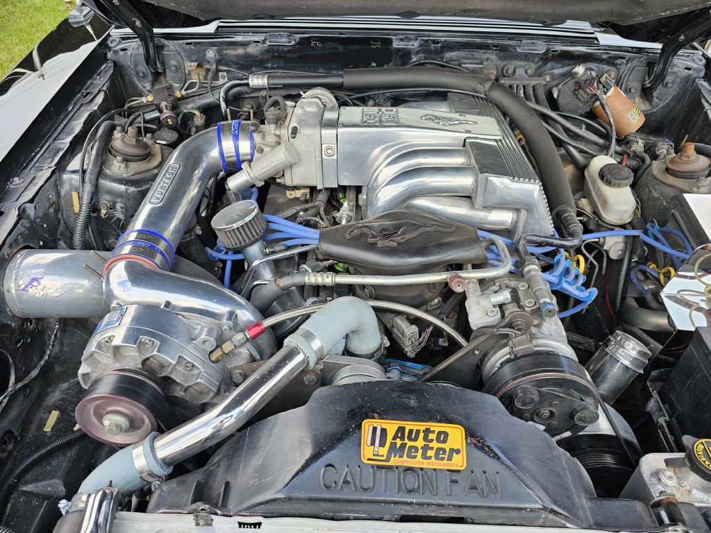 Photo 28 of this FORD MUSTANG