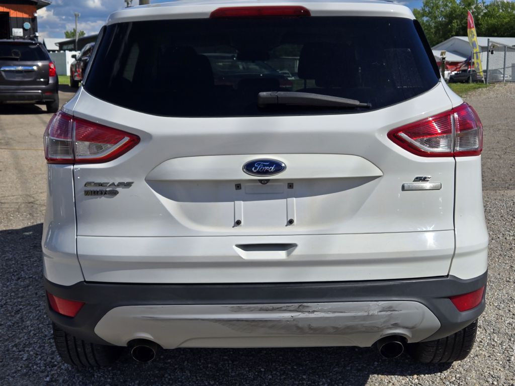 Photo 6 of this FORD ESCAPE