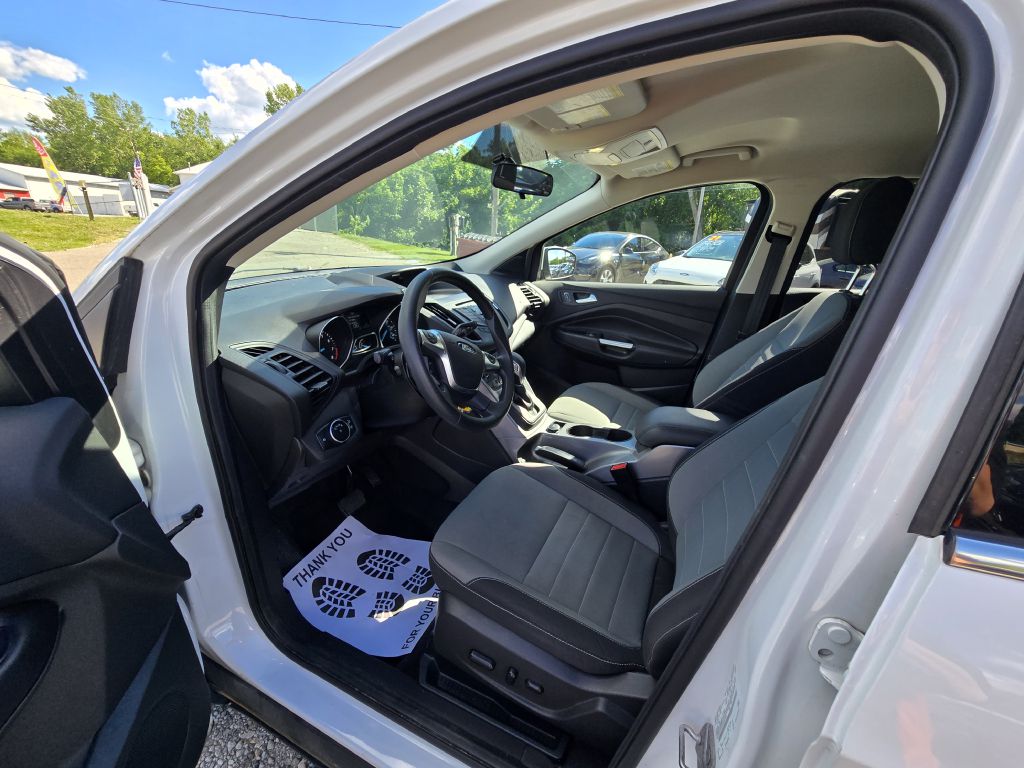 Photo 11 of this FORD ESCAPE