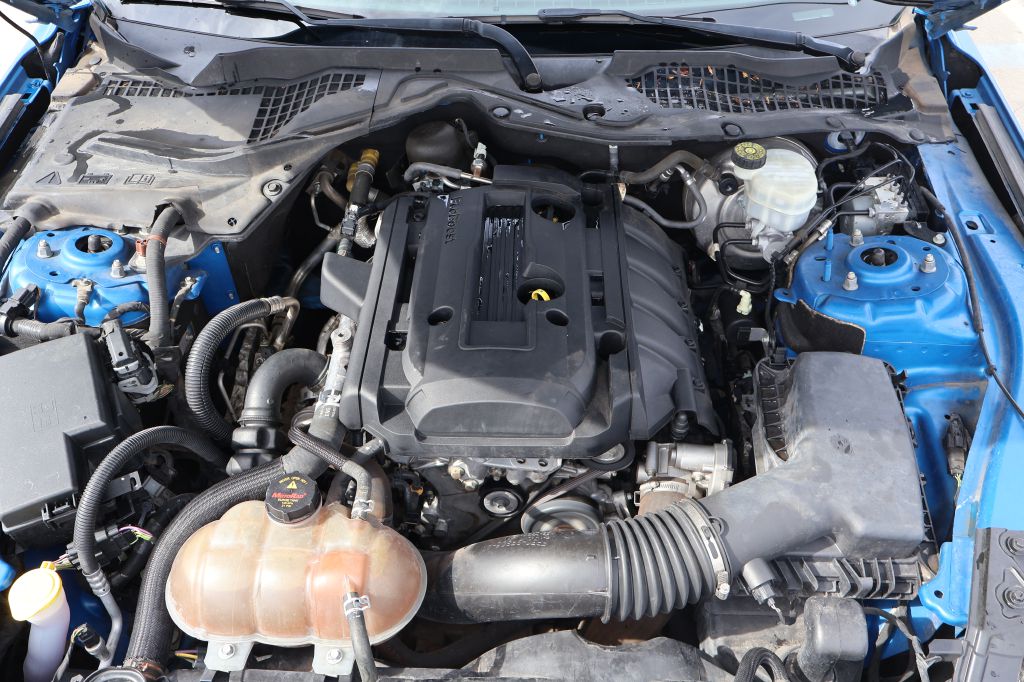 Used Car 2019 Ford Mustang  For Sale Under $15,000 In San Antonio, Texas