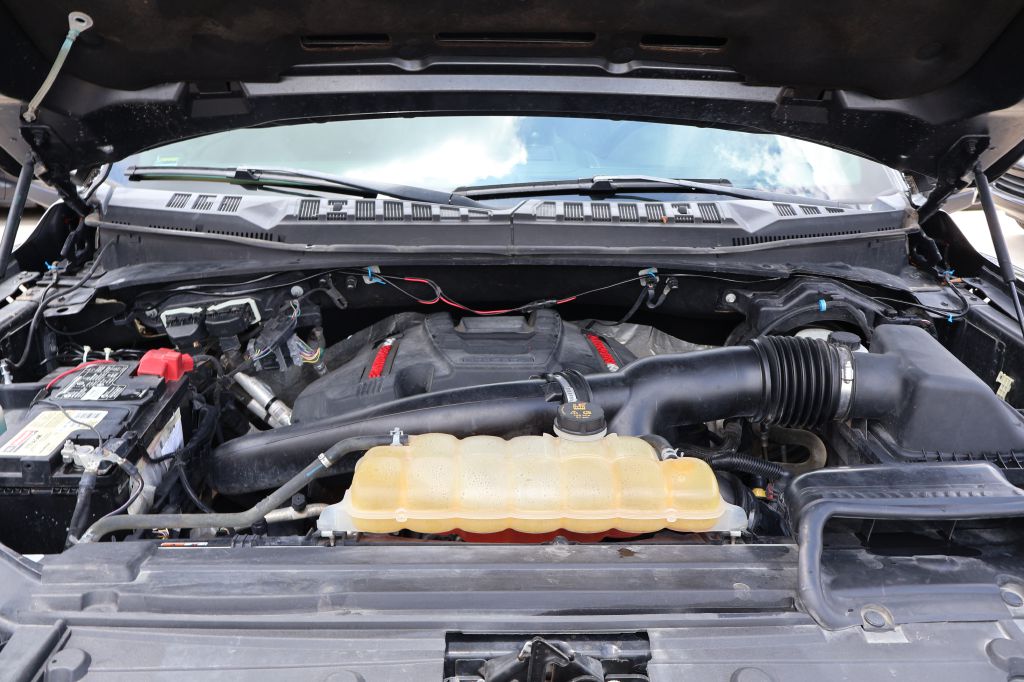 Used Car 2019 Ford F150  Raptor For Sale Under $35,000 In San Antonio, Texas
