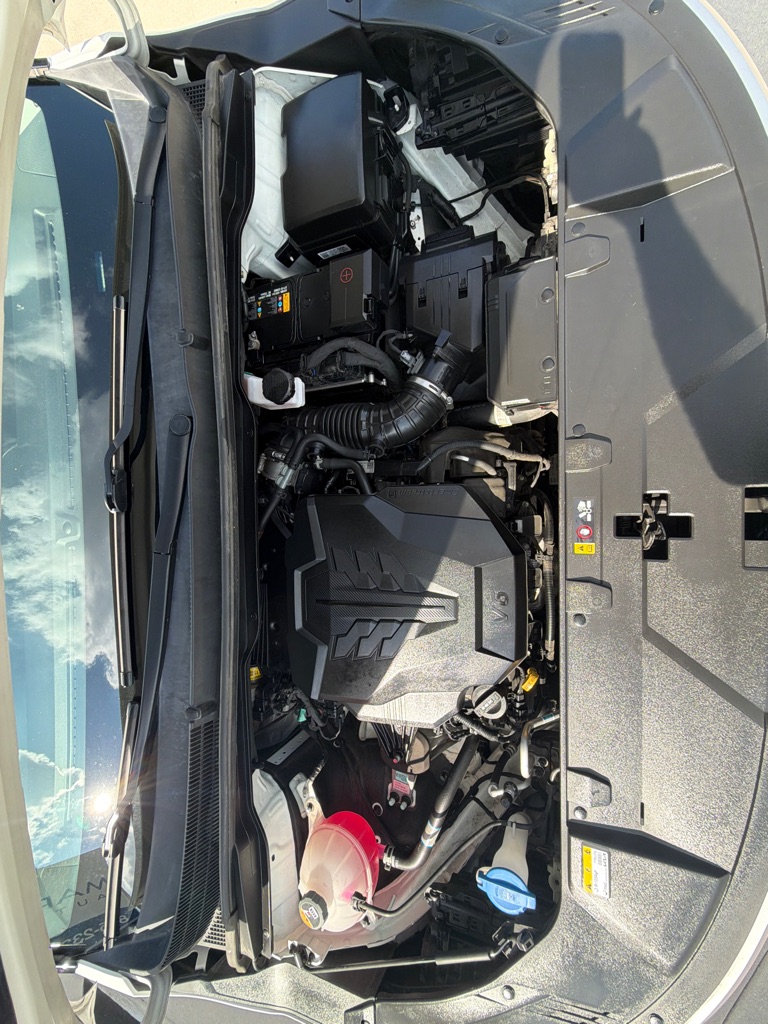 Photo 21 of this KIA CARNIVAL