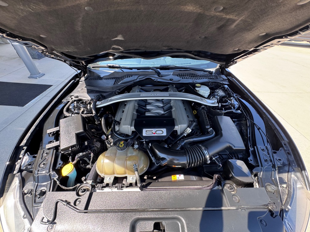 Photo 16 of this FORD MUSTANG