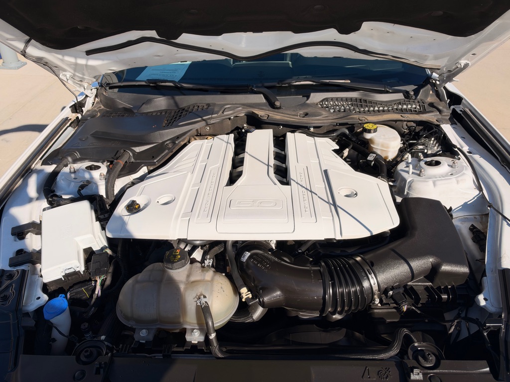 Photo 17 of this FORD MUSTANG