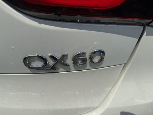 Photo 48 of this INFINITI QX60
