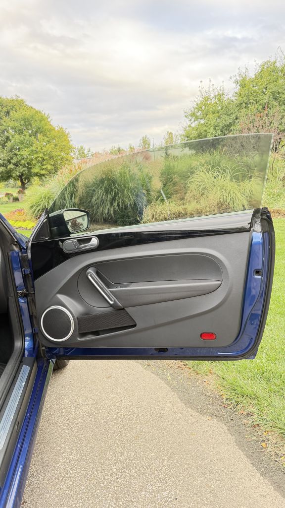 Photo 6 of this VOLKSWAGEN BEETLE