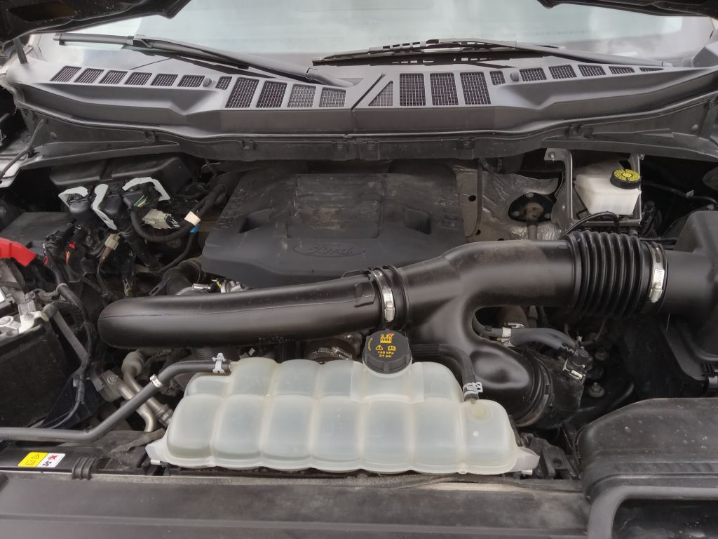 Photo 12 of this FORD F150