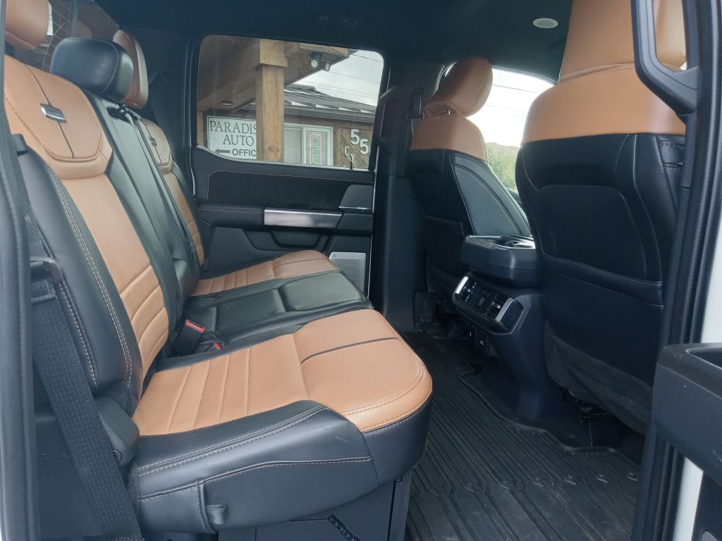 Photo 21 of this FORD F150 PLATINUM