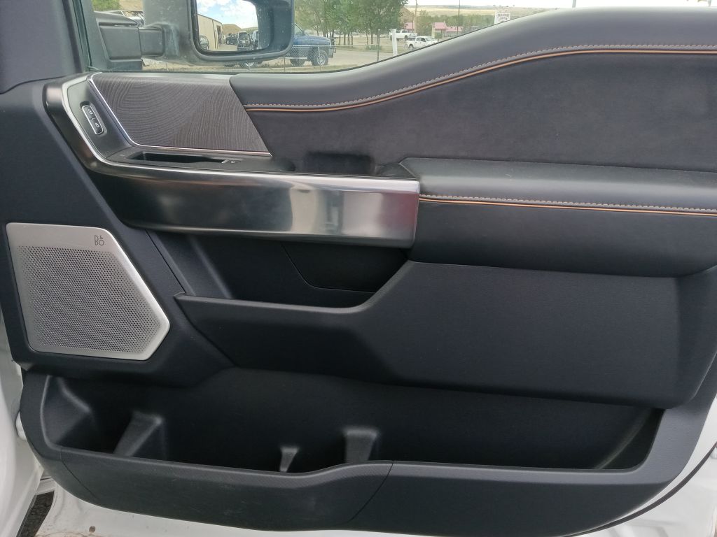 Photo 22 of this FORD F150 PLATINUM