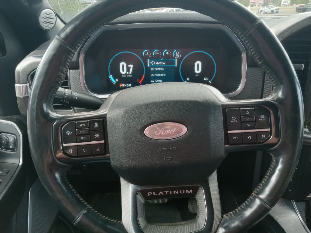 Photo 25 of this FORD F150 PLATINUM
