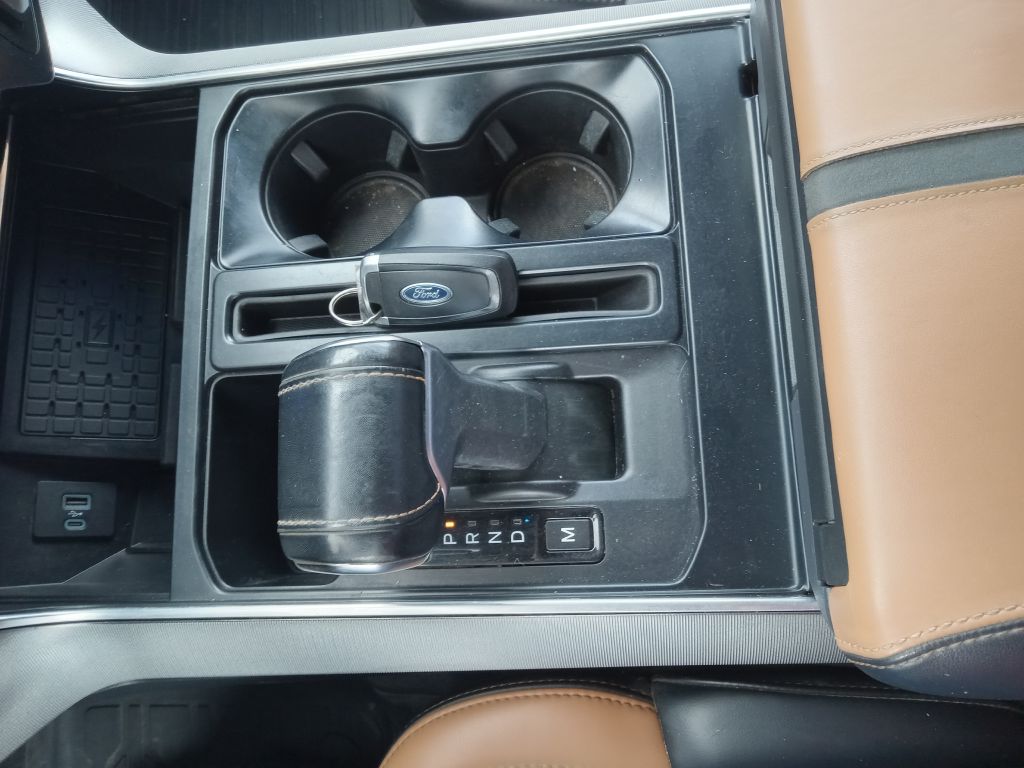 Photo 30 of this FORD F150 PLATINUM