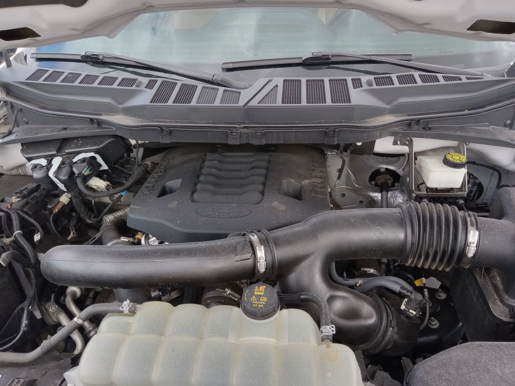 Photo 34 of this FORD F150 PLATINUM