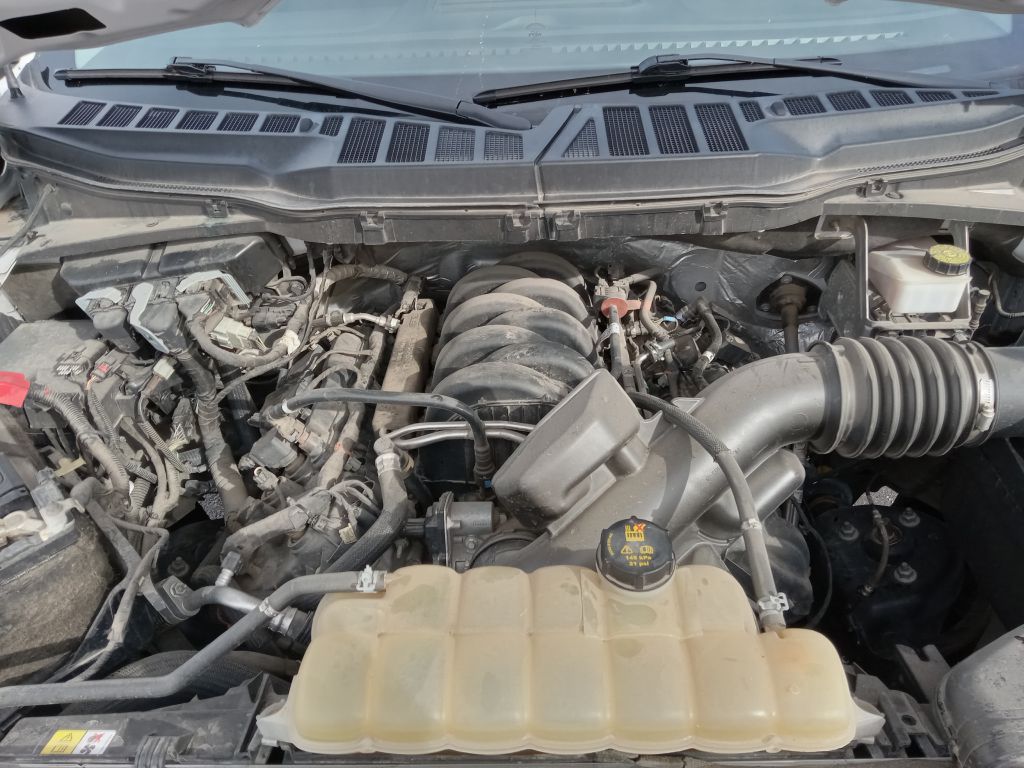 Photo 31 of this FORD F150