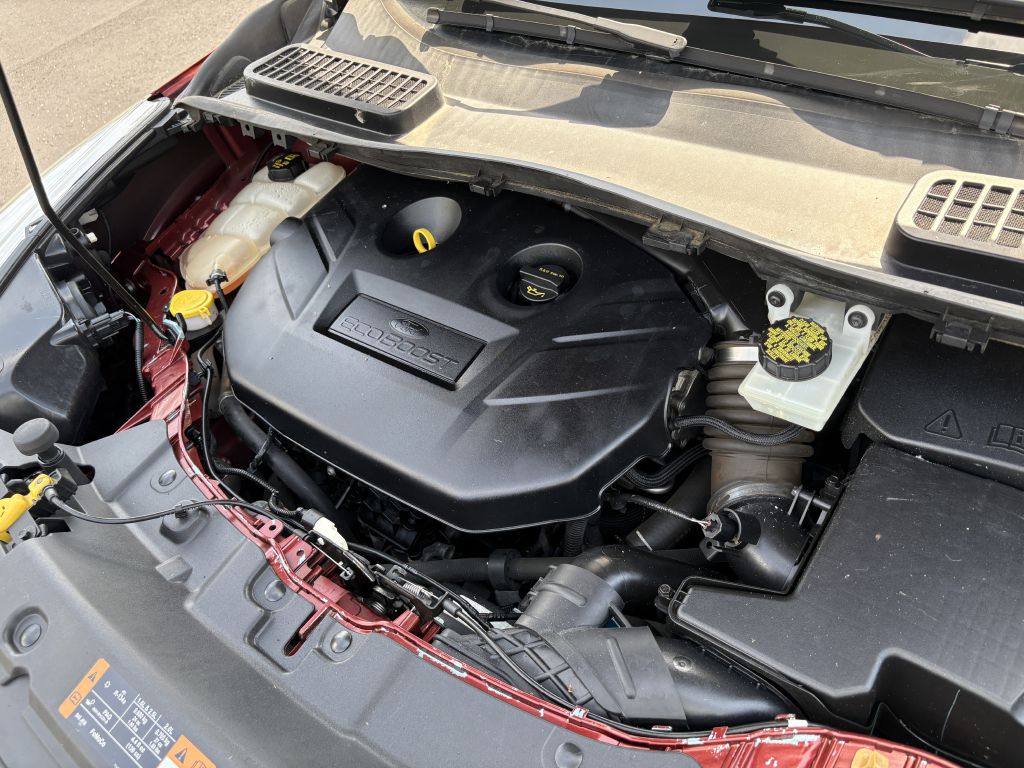 Photo 11 of this FORD ESCAPE