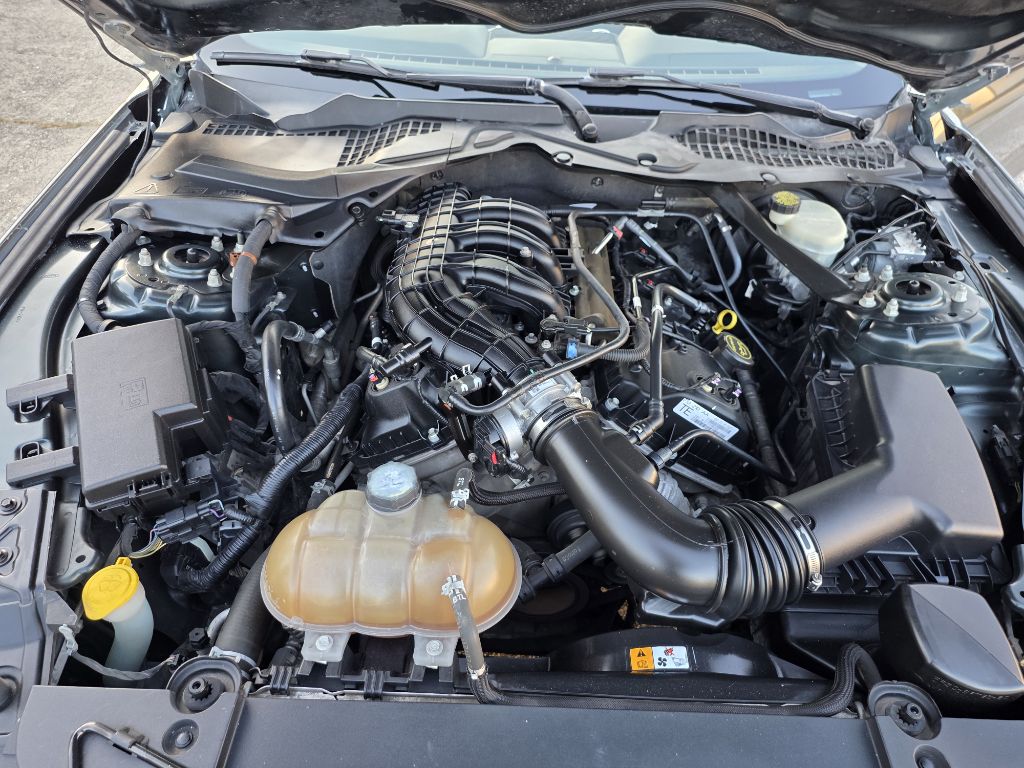 Photo 16 of this FORD MUSTANG