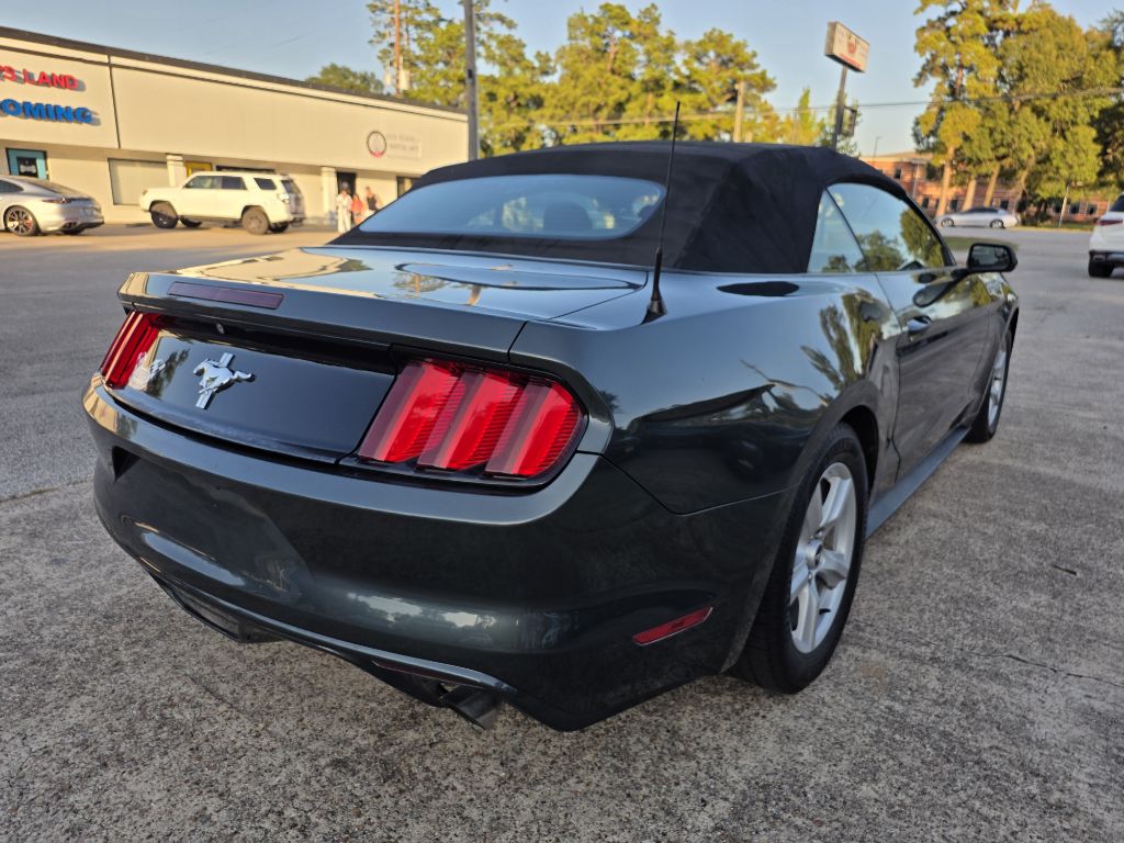 Photo 6 of this FORD MUSTANG