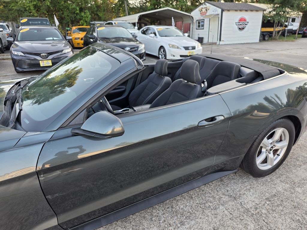 Photo 8 of this FORD MUSTANG
