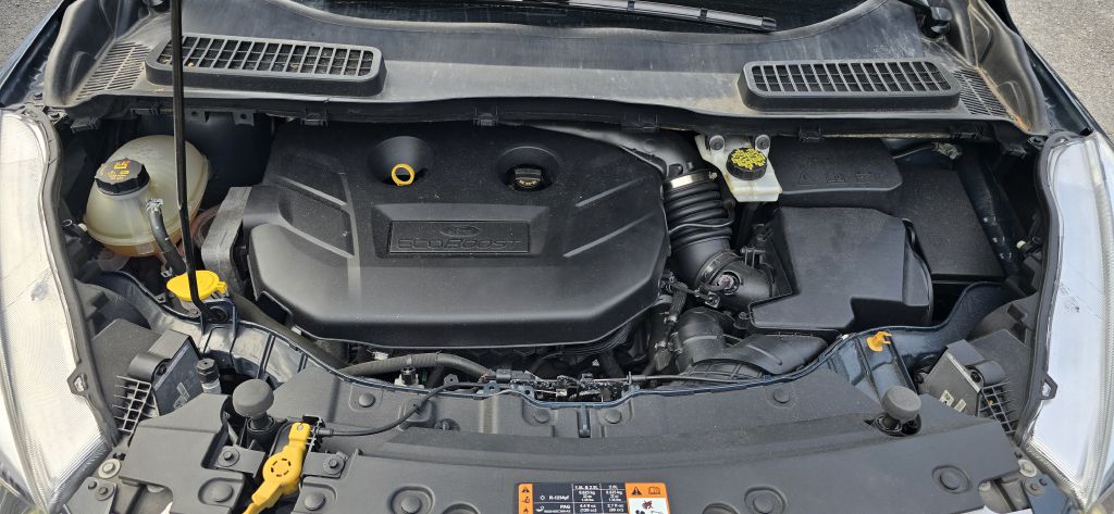 2019 Ford Escape Titanium - Photo 11