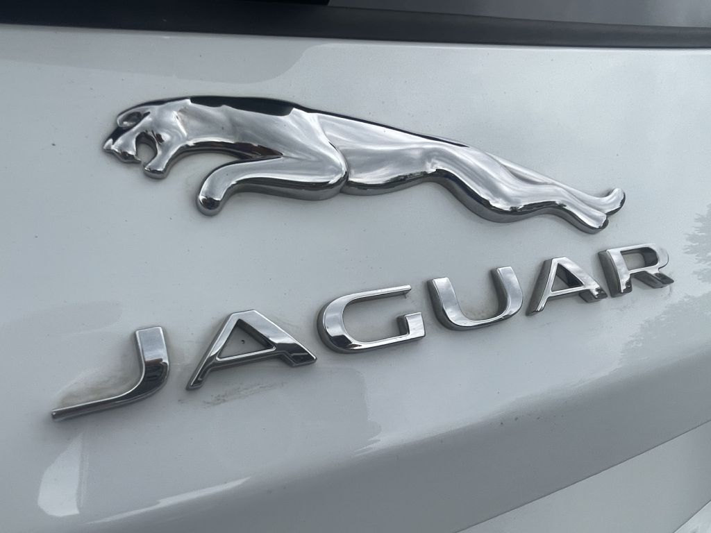 Photo 31 of this JAGUAR F-PACE