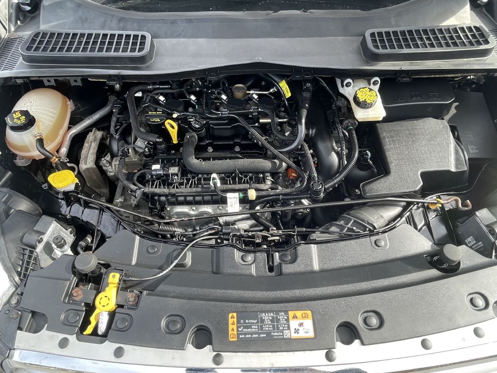 Photo 33 of this FORD ESCAPE