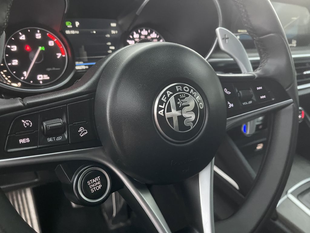 Photo 14 of this ALFA ROMEO STELVIO