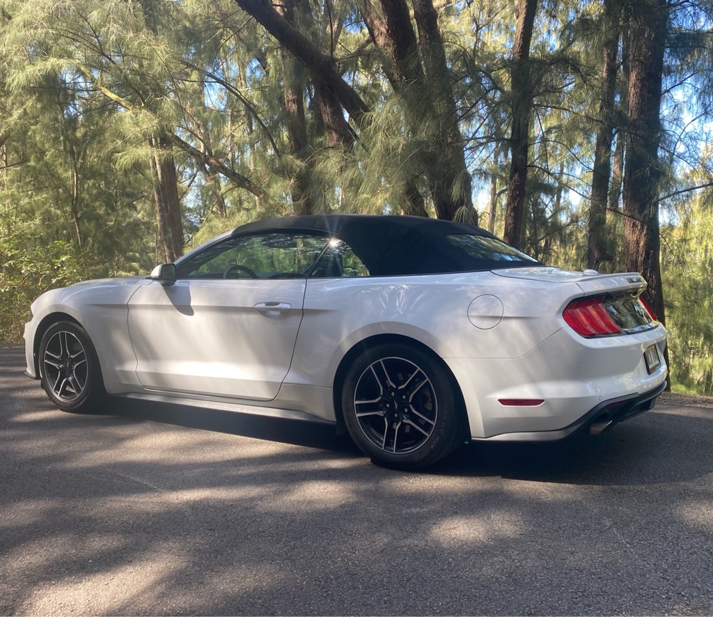Photo 5 of this FORD MUSTANG